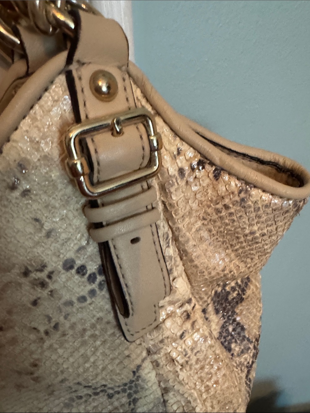 Coach Cream and Brown Snake-Print Leather Hobo Bag - Picture 8 of 10